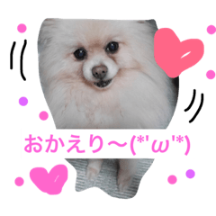 [LINEスタンプ] モコすたいる