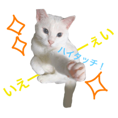 [LINEスタンプ] はまちとぽんずの日常2
