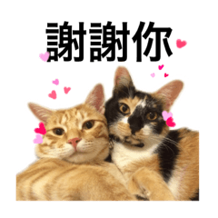 [LINEスタンプ] Pipi ＆ JyaiAn