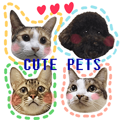 [LINEスタンプ] Pets: xiao p maomen yu xiao p gou