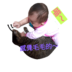[LINEスタンプ] mibobo's daily 1