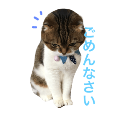 [LINEスタンプ] スコのカルシファー