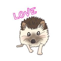 [LINEスタンプ] hedgehog love