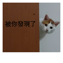 [LINEスタンプ] huahua's cat life