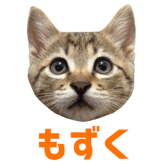 [LINEスタンプ] うちのもずく