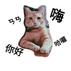 [LINEスタンプ] cat1234567