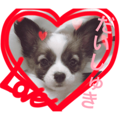 [LINEスタンプ] アポロのスタンプ