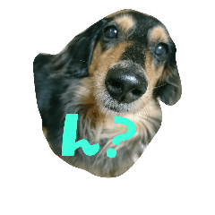 [LINEスタンプ] ざ・どっぐ