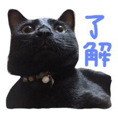 [LINEスタンプ] くろとはな