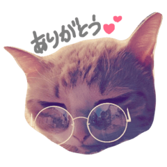 [LINEスタンプ] トラ次郎