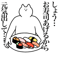 [LINEスタンプ] しょうに送るスタンプ2【使いやすい】