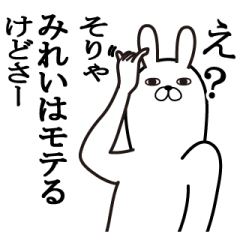 [LINEスタンプ] みれいが使う面白名前スタンプ