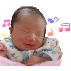 [LINEスタンプ] 煌鷹スタンプ1