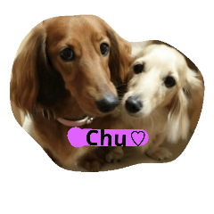 [LINEスタンプ] 愛犬の日