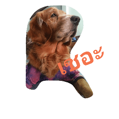 [LINEスタンプ] hush