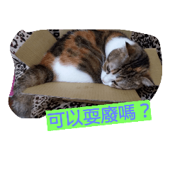[LINEスタンプ] Jimmy Flower