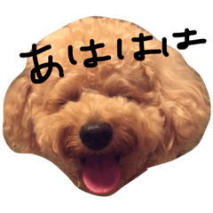 [LINEスタンプ] nanoaru