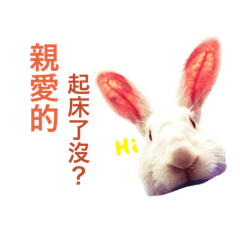 [LINEスタンプ] Biofamily fall in love