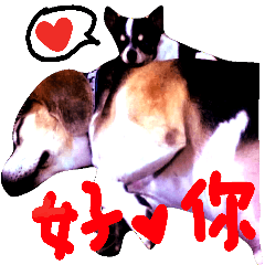 [LINEスタンプ] my family dogs forever