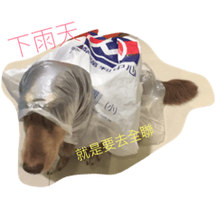 [LINEスタンプ] hot dog helpless