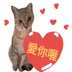 [LINEスタンプ] Cats and dogs Valentine's Day wishes