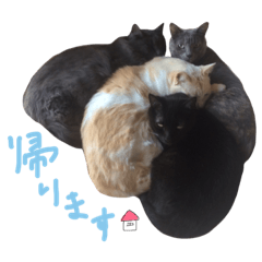[LINEスタンプ] えんどー家の愉快な仲間達