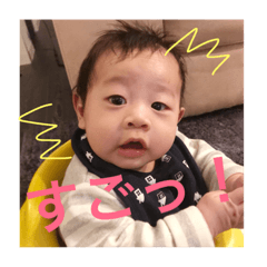 [LINEスタンプ] えにしだくん1