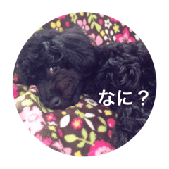 [LINEスタンプ] なゆひろゆじゅ