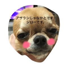 [LINEスタンプ] ジローの気持ち