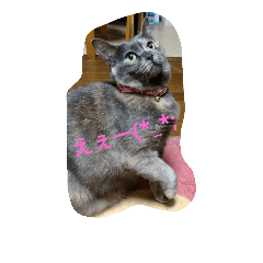 [LINEスタンプ] けいともも2
