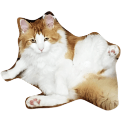 [LINEスタンプ] こおり様