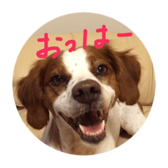 [LINEスタンプ] ブリタニーエルさく