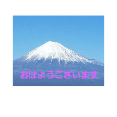 [LINEスタンプ] maaya2