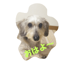 [LINEスタンプ] ririco family