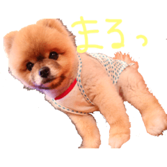 [LINEスタンプ] まるなが