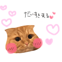[LINEスタンプ] かわいいメリーちゃん