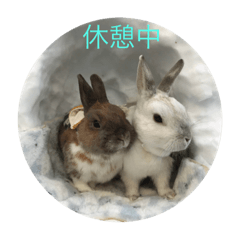 [LINEスタンプ] 庭の3うさ