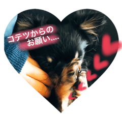 [LINEスタンプ] こてつのスタンプ