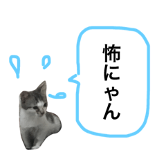 [LINEスタンプ] mame...
