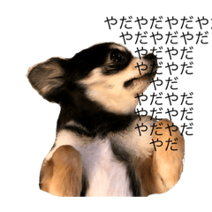 [LINEスタンプ] はらみ