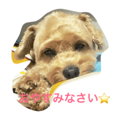 [LINEスタンプ] ラッテさん