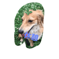 [LINEスタンプ] m(__)mUU^^U