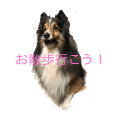 [LINEスタンプ] ranruroi