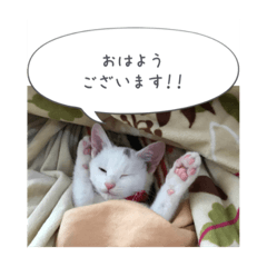 [LINEスタンプ] Chic-chi