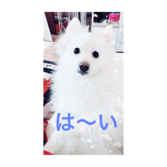 [LINEスタンプ] デカポメ コスケ