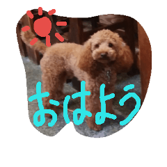 [LINEスタンプ] family@@
