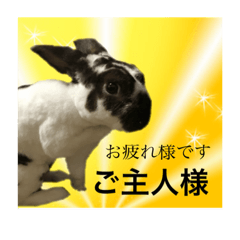 [LINEスタンプ] 俺うさスタイル