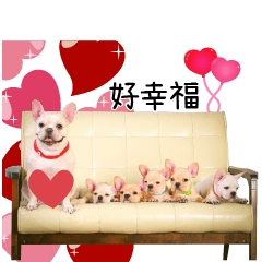 [LINEスタンプ] Family Yuan