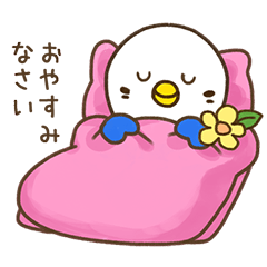 [LINEスタンプ] 毎日いっしょハリネズミとインコちゃん