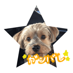 [LINEスタンプ] ロンたん